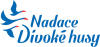 Nadace Divoké husy logo